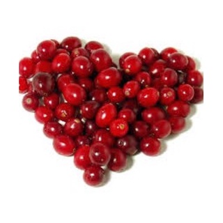 Hạt giống VIỆT QUẤT ĐỎ F1 - Gói lớn nhiều hạt - Tặng gói kích nảy mầm