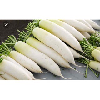 HẠT CỦ CẢI TRẮNG F1 - GÓI 20 GRAM