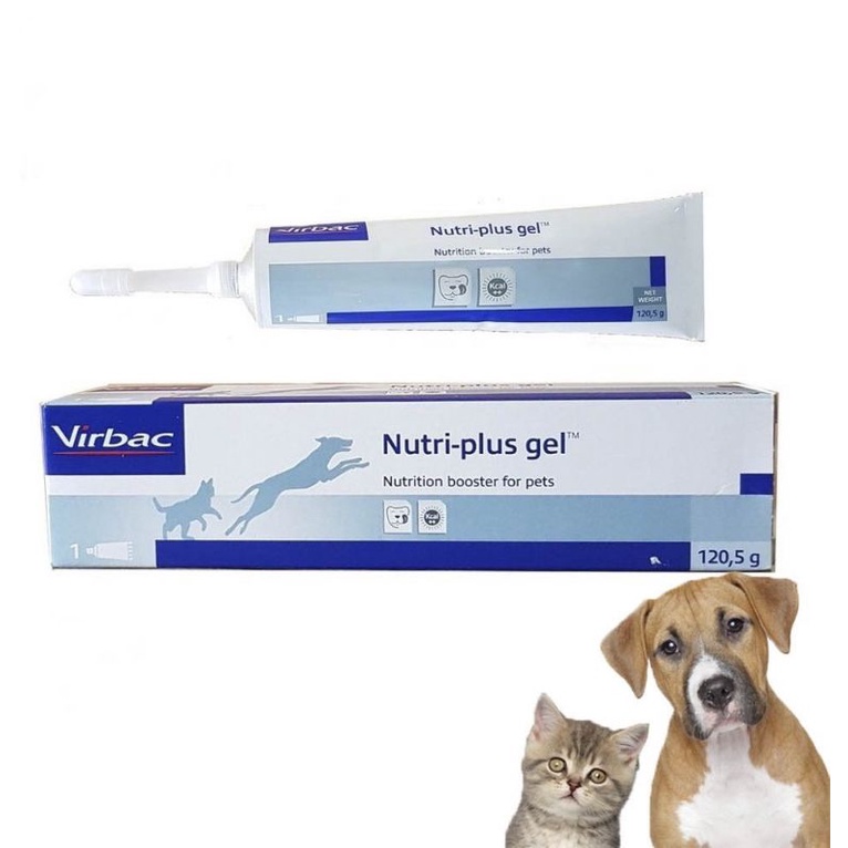 Nutri Plus Gel - Gel dinh dưỡng cho chó mèo
