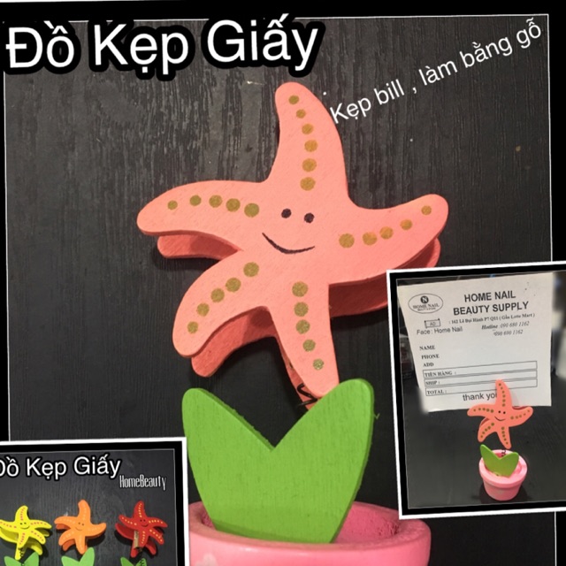 Đồ Kẹp Giấy (Sao Biển Gỗ)
