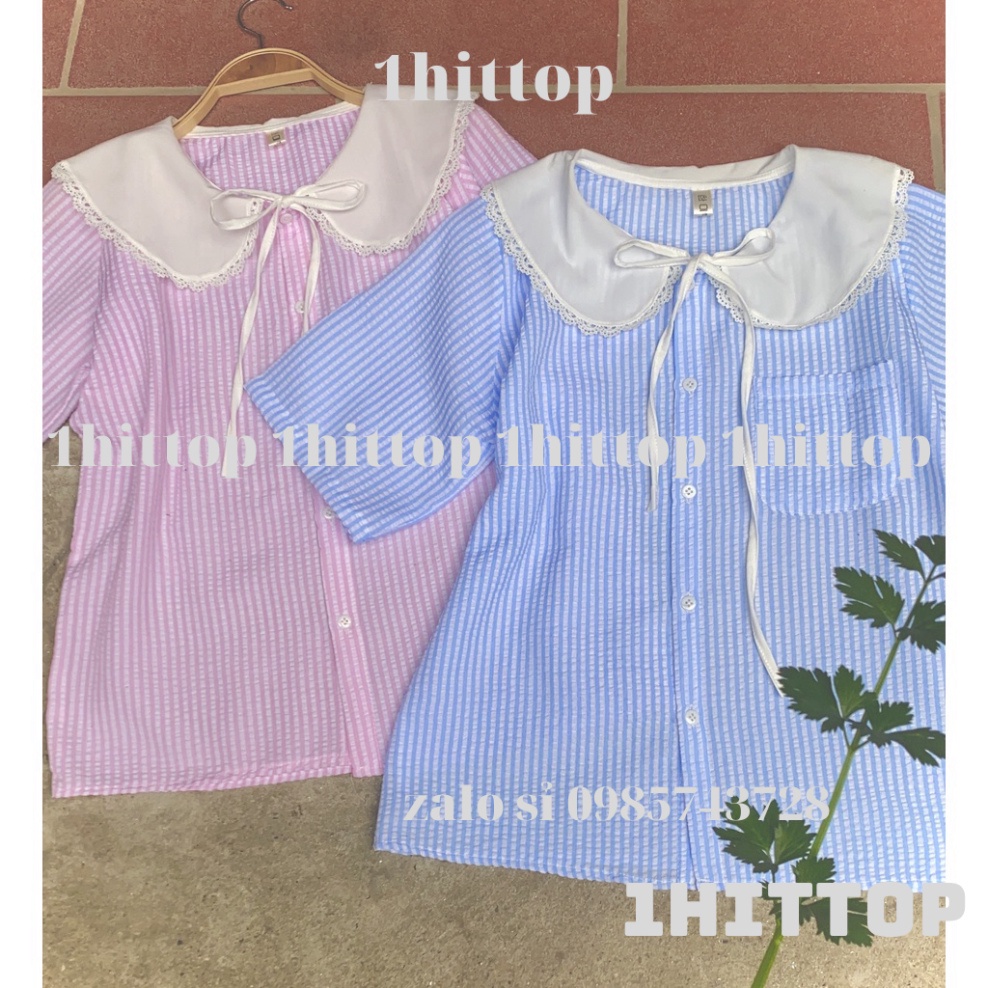 áo sơ mi kẻ cổ bèo tiểu thư 2 màu ngắn tay kaca 1hittop | BigBuy360 - bigbuy360.vn