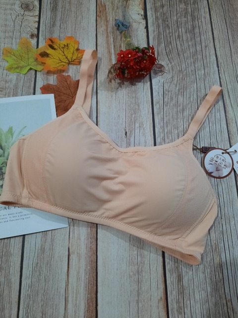 ❤️Siêu đẹp áo lót kiêm bra 3281