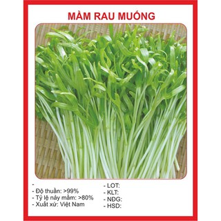 Hạt Giống Mầm Rau Muống (50gram/gói )