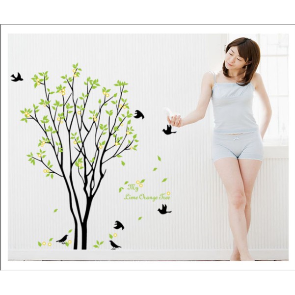 Decal trang trí tường Cây xanh lá Chim Đen