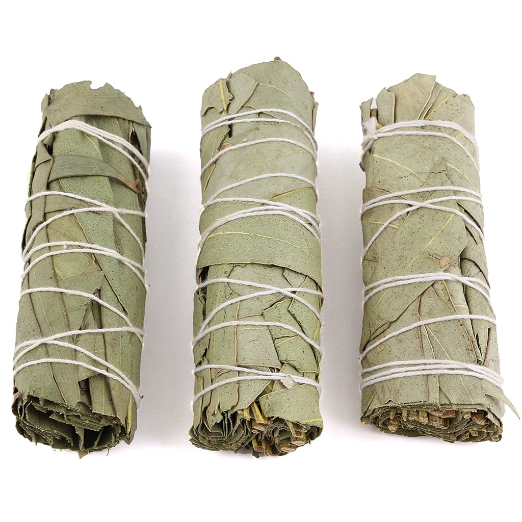 Set 3 bó xô thơm Bảo vệ (Xô bạch đàn - Eucalyptus Smudge sticks) (Lưu ý số lượng bó)