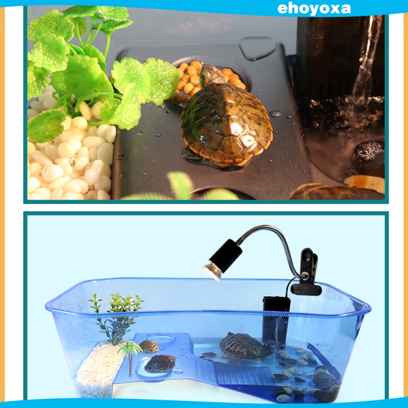 Hộp Nuôi Bò Sát / Bò Sát / Thằn Lằn / Bò Sát / Bò Sát Bằng Nhựa Hình Cây Dừa