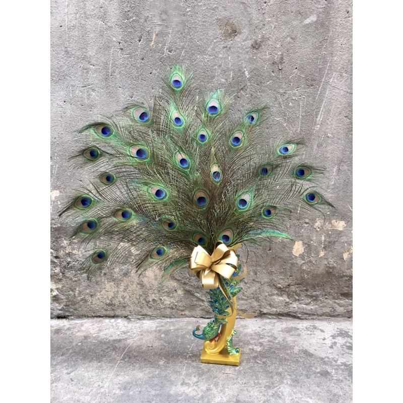 [ HCM ] Lông Công Phong Thuỷ (COMBO 10 LÔNG)- FREESHIP | BigBuy360 - bigbuy360.vn