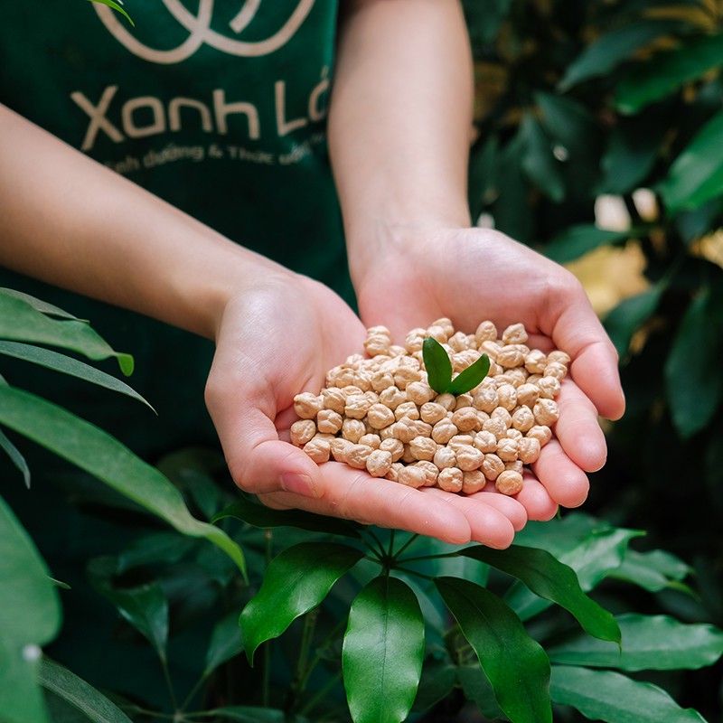 Hạt đậu gà sạch không biến đổi gen La'zen nhập khẩu Mỹ