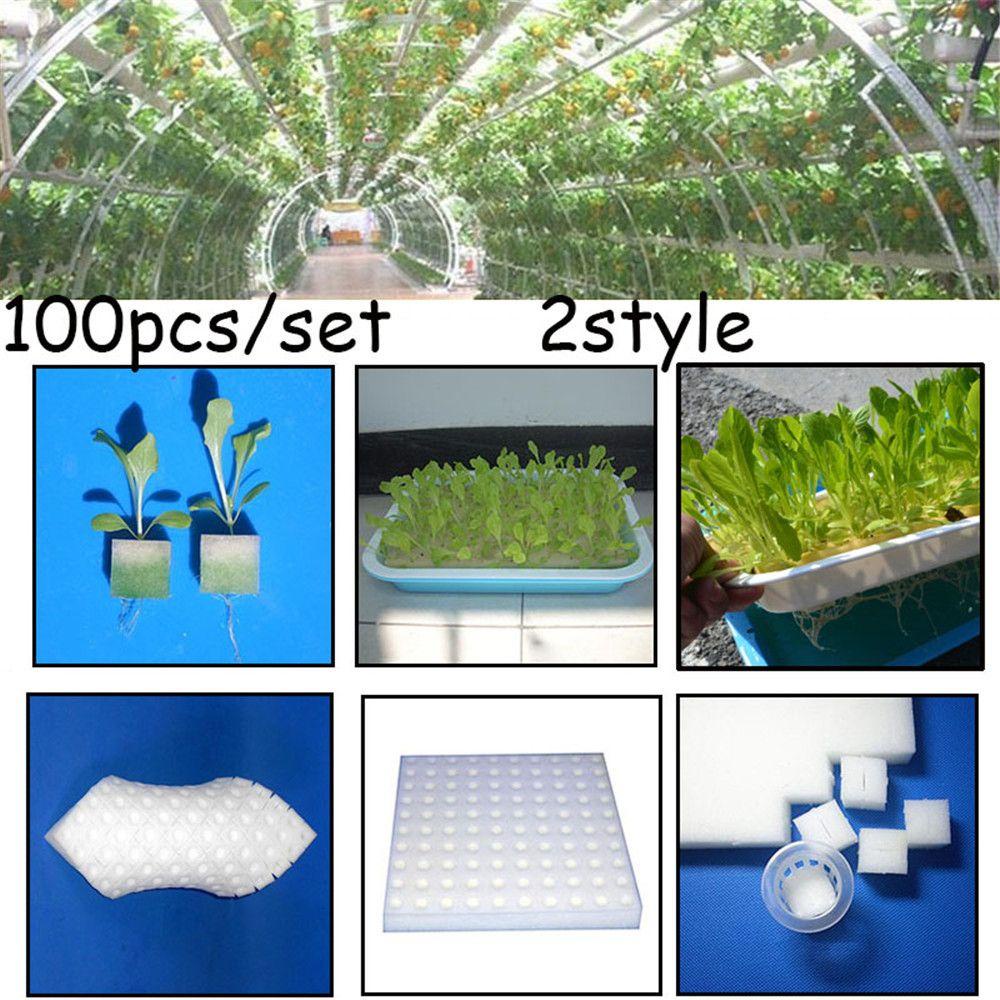 Bọt Biển Thân Thiện Với Môi Trường Không Cần Đất Trồng Cây Thủy Canh