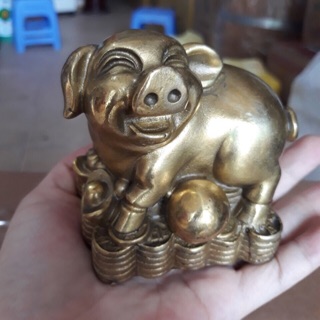 Lợn đồng phú quý