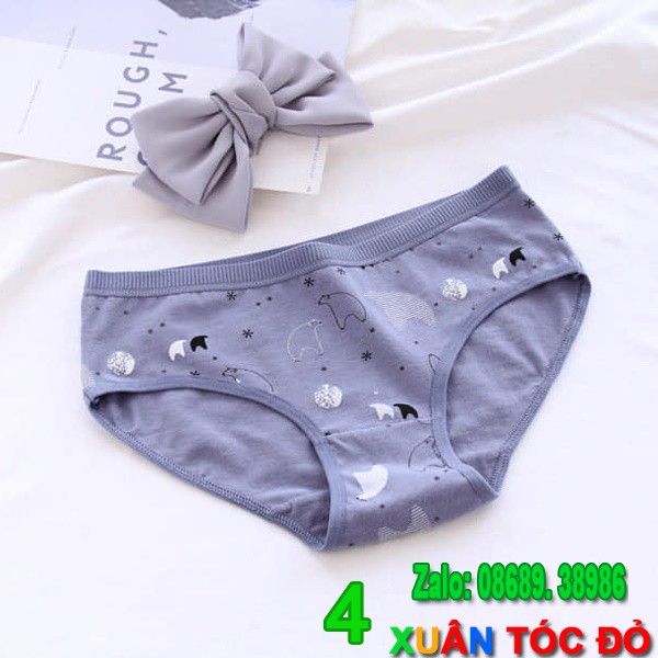 SỈ ZALO RẺ HƠN NHIỀU_ Quần Lót Gấu Trắng Bắc Cực Siêu Đẹp 5079 | BigBuy360 - bigbuy360.vn