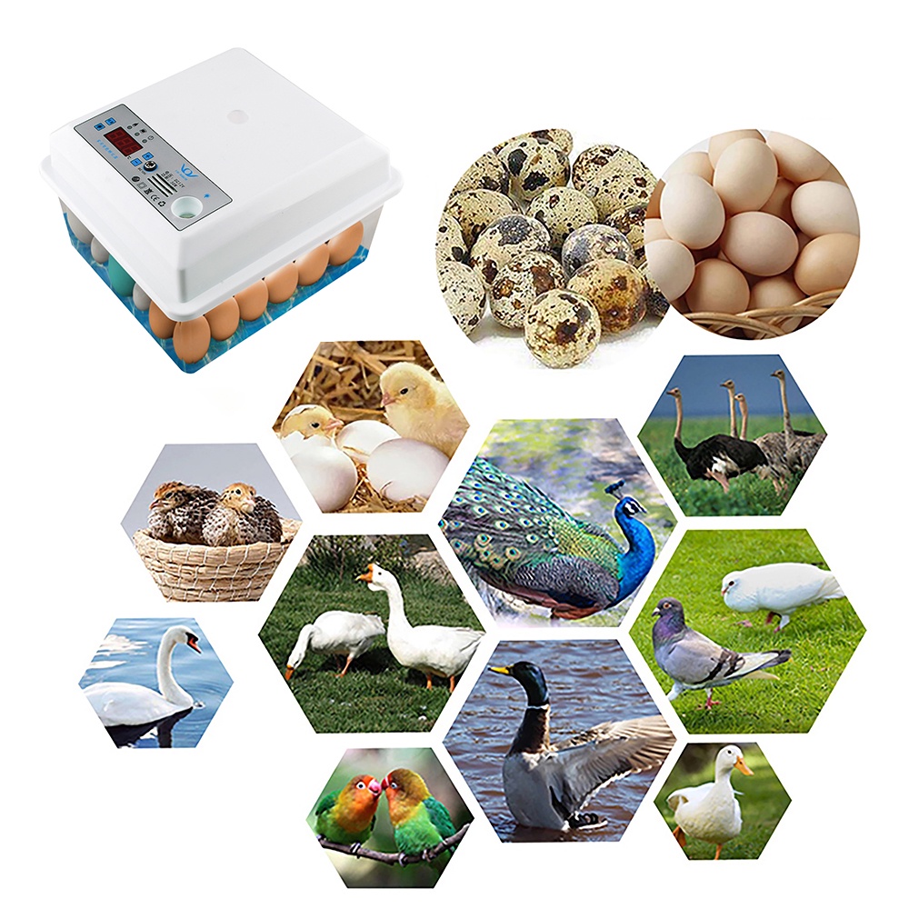 DIYMORE Set 20 Dụng Cụ Bơm Oxy Bằng Nhựa Diy Tiện Dụng