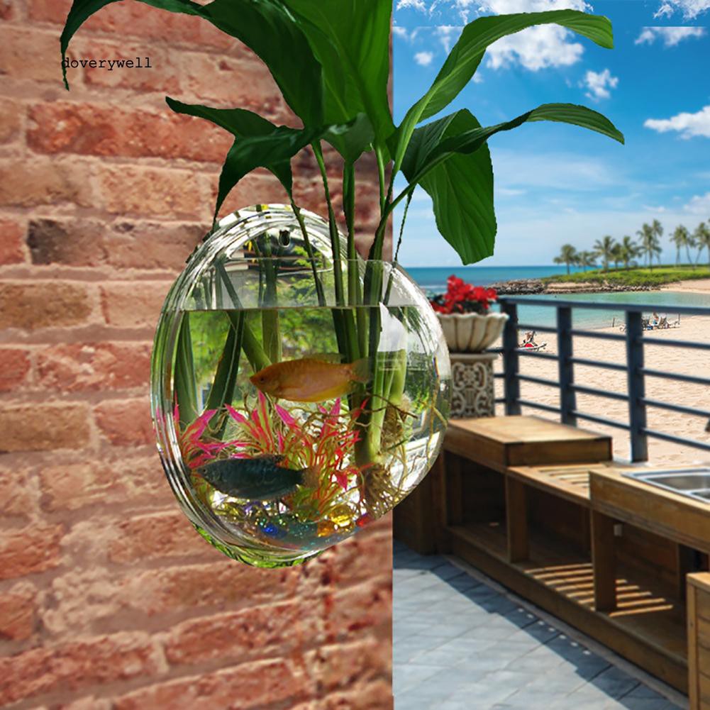 Bình hoa trong suốt treo tường sáng tạo