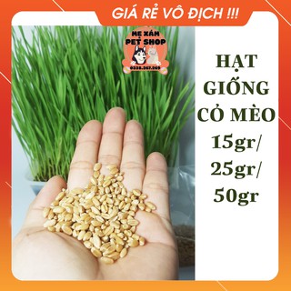 Combo hạt giống cỏ mèo, hạt lúa mạch siêu phê pha, bảo vệ tiêu hóa 15g, 25g, 50g