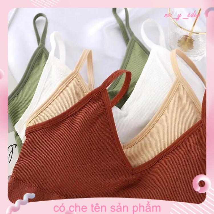 Áo bra cotton gân tăm 367 VENIZO hàng loại 1 [kho sỉ] | BigBuy360 - bigbuy360.vn