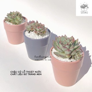 Chậu gốm sứ bát tràng trang trí ,decor văn phòng 9*9cm