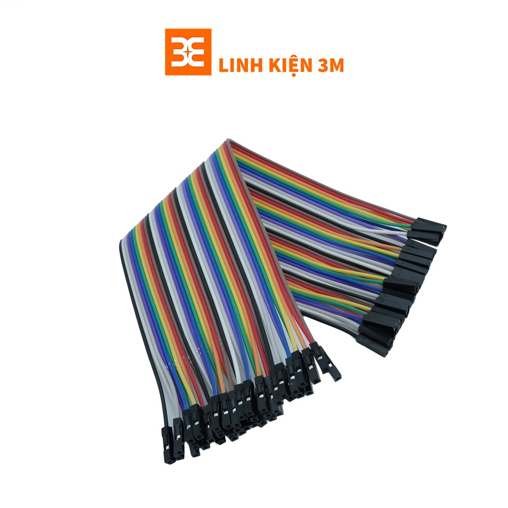 Tệp 40 dây nối  21Cm  2 Đầu Cái Cái