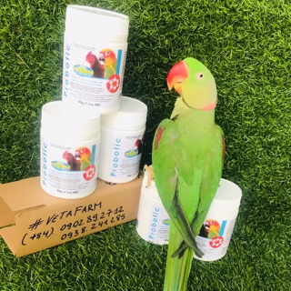 Probotic 90gr - men tiêu hoá chuyên dùng cho vẹt