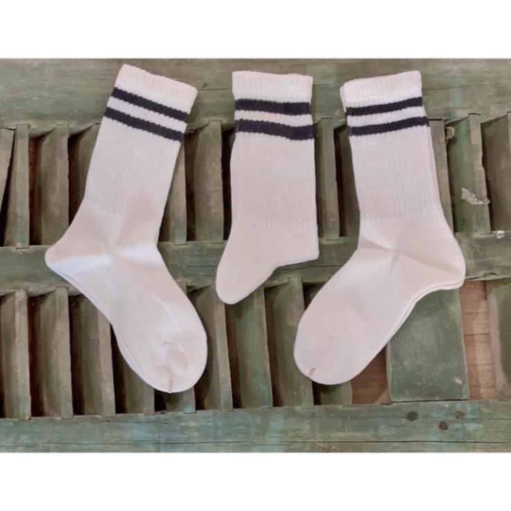 Tất trơn cao cổ 2 màu đen trắng bassic chất cotton thoáng mát