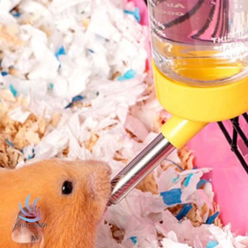 Bình Đựng Nước Uống Cho Thú Cưng 80ml