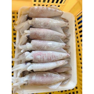 MỰC TRỨNG 750gr (hoả tốc HCM)