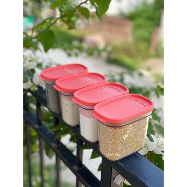 Tupperware - Bộ hộp BQTP Umami