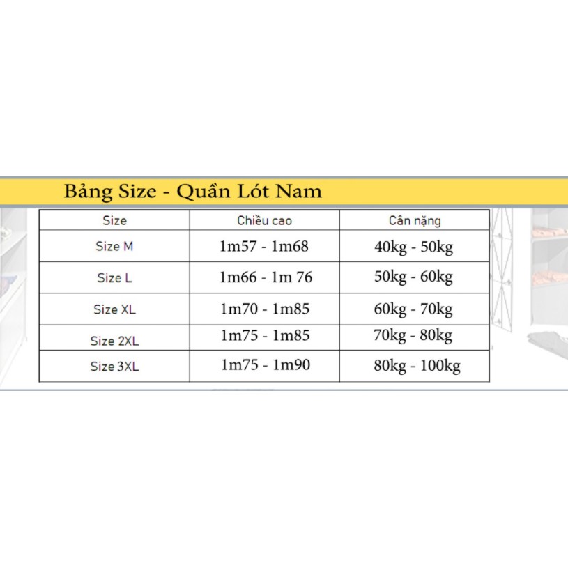 Hộp 5 Quần Lót Nam💖FREESHIP💖Quần Sịp Nam Chéo Cottong Hộp 5 Quần | BigBuy360 - bigbuy360.vn