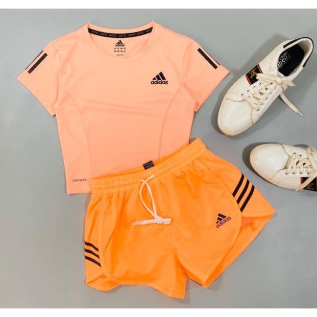 ĐỈNH CAO XẢ 🍉 10.10 SALE HOT | Xả Kho | Set tập gym nữ 💝 .. Nhất . 🔥 . 🍉 . . . . ! ,