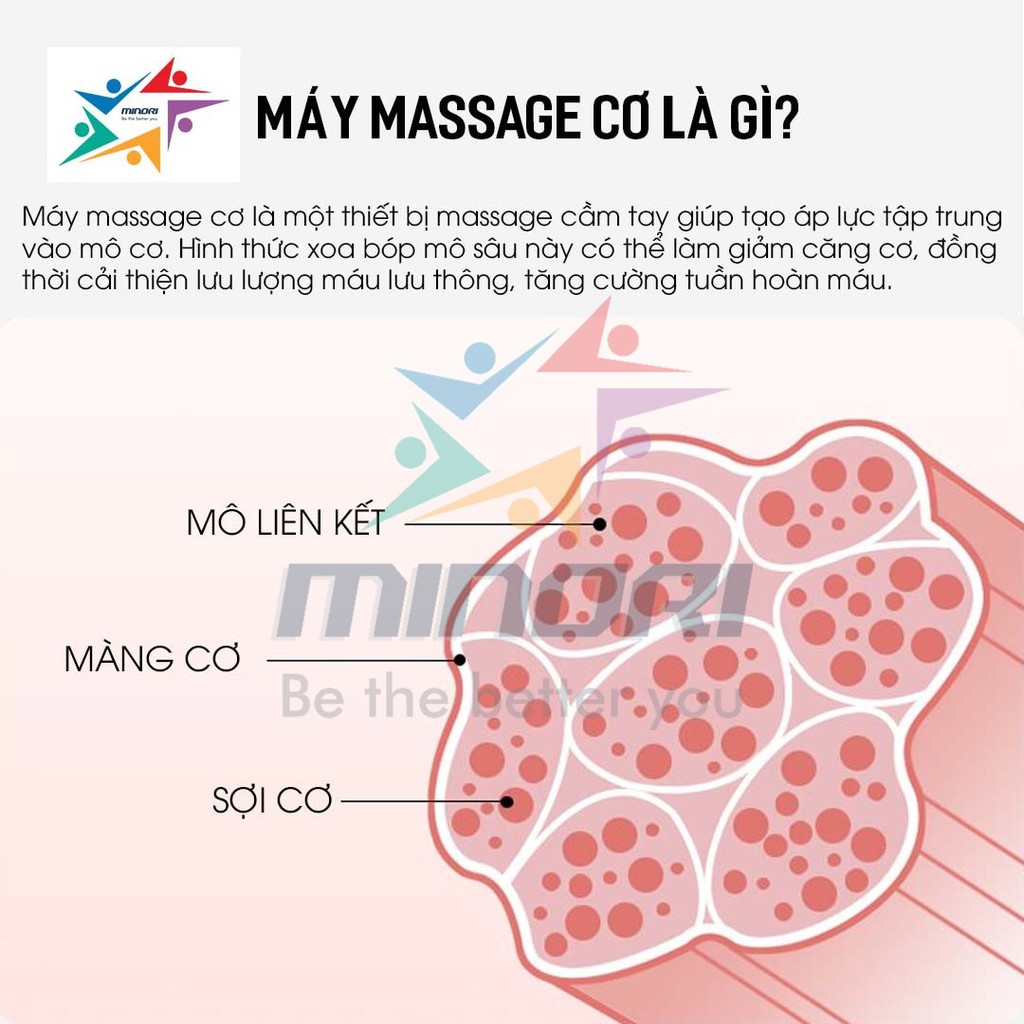 Máy Massage Aonijie E4408 - Chải Cơ Làm Dịu Gọn Nhẹ, Dễ Sử Dụng