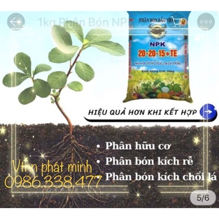 Phân bón đầu trâu 20 20 15+te