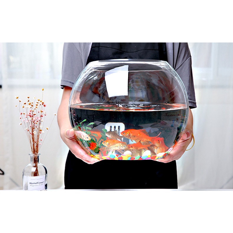 Bể kính tròn siêu to 36 x 48cm_Nhập khẩu
