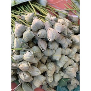 Trà sen Tây Hồ