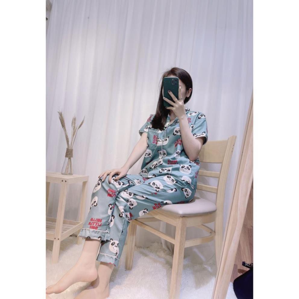 Bộ Đồ Pijama, Bộ Mặc Nhà Họa Tiết Hoạt Hình FreeSize Siêu Hot Hit | BigBuy360 - bigbuy360.vn