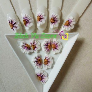 Hoa nỗi 4D, Fantasy | 18k/cặp