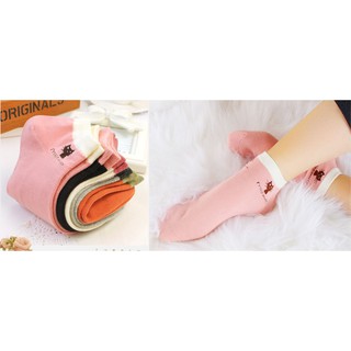 Bộ 5 đôi tất miu nữ hình mèo