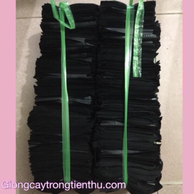 5kg TÚI BẦU ƯƠM CÂY GIỐNG 8x11cm | BigBuy360 - bigbuy360.vn