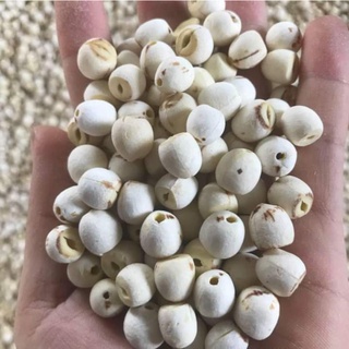 SEN KHÔ HỘI AN( 1kg)