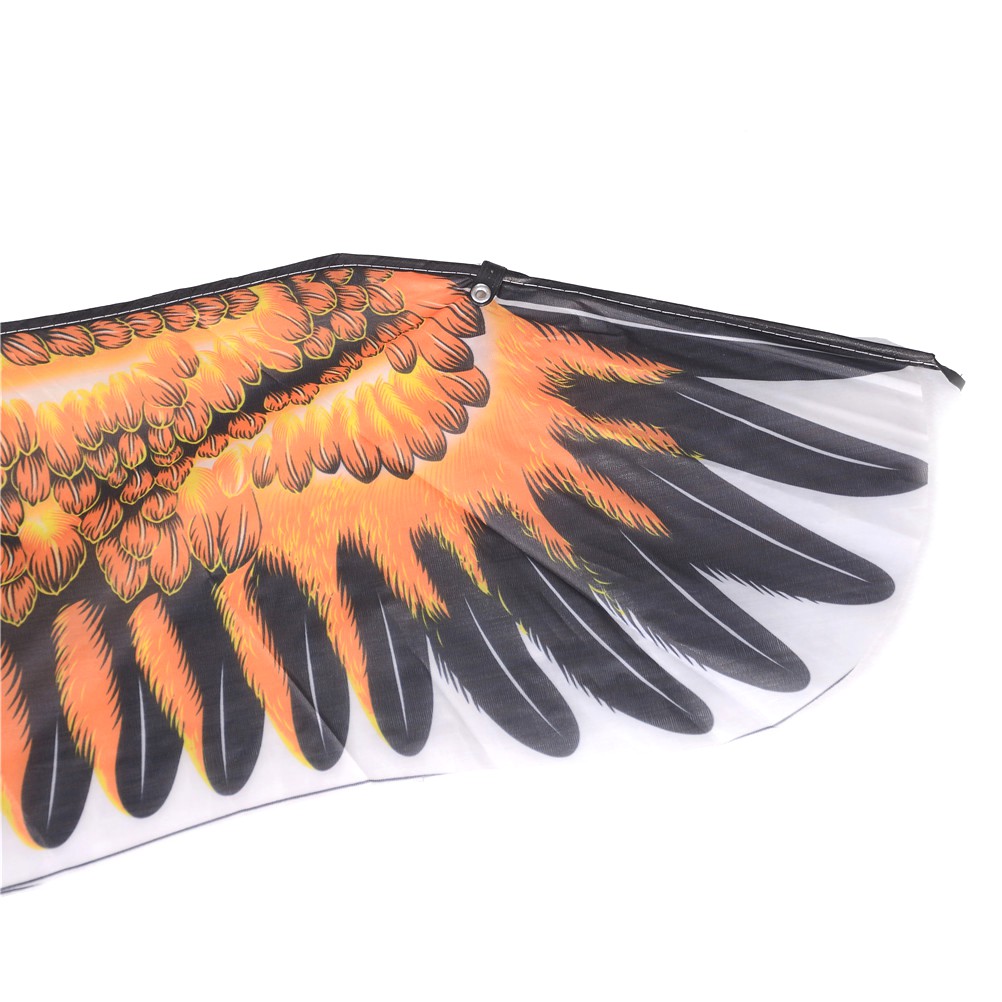 Chú Chim Đại Bàng Cỡ Lớn Độc Đáo