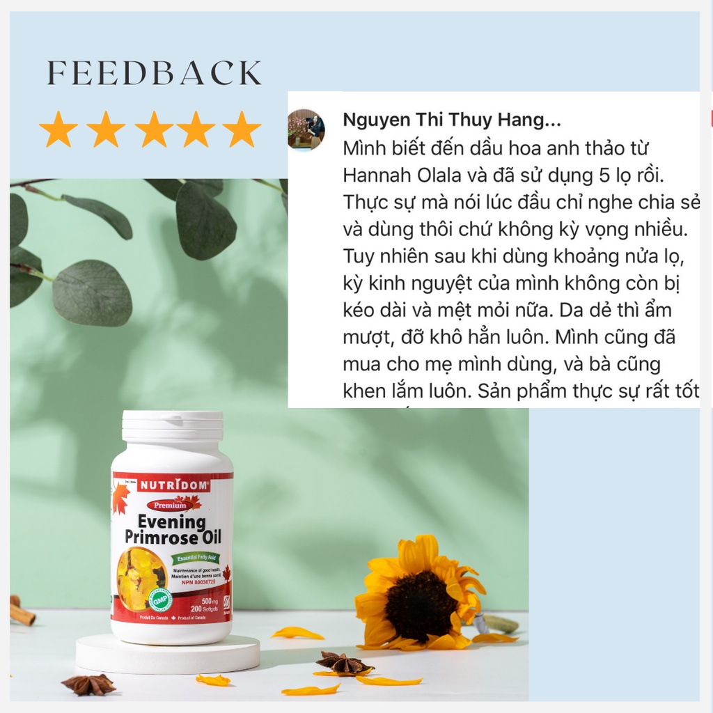 Evening Primrose Oil - VIÊN UỐNG DẦU HOA ANH THẢO CÂN BẰNG NỘI TIẾT TỐ NỮ - DAVID HEALTH - CANADA