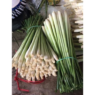 Sả cây tươi Đà Lạt
