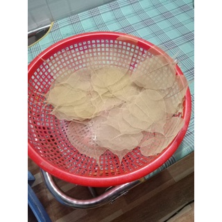 Lá Bồ Đề May mắn 🍀🍀