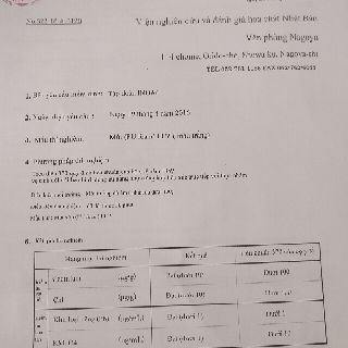 Vỉ xốp ươm hạt 96 viên Nhật Bản
