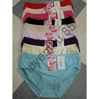 Combo 10 quần lót cotton trơn big size cho người béo