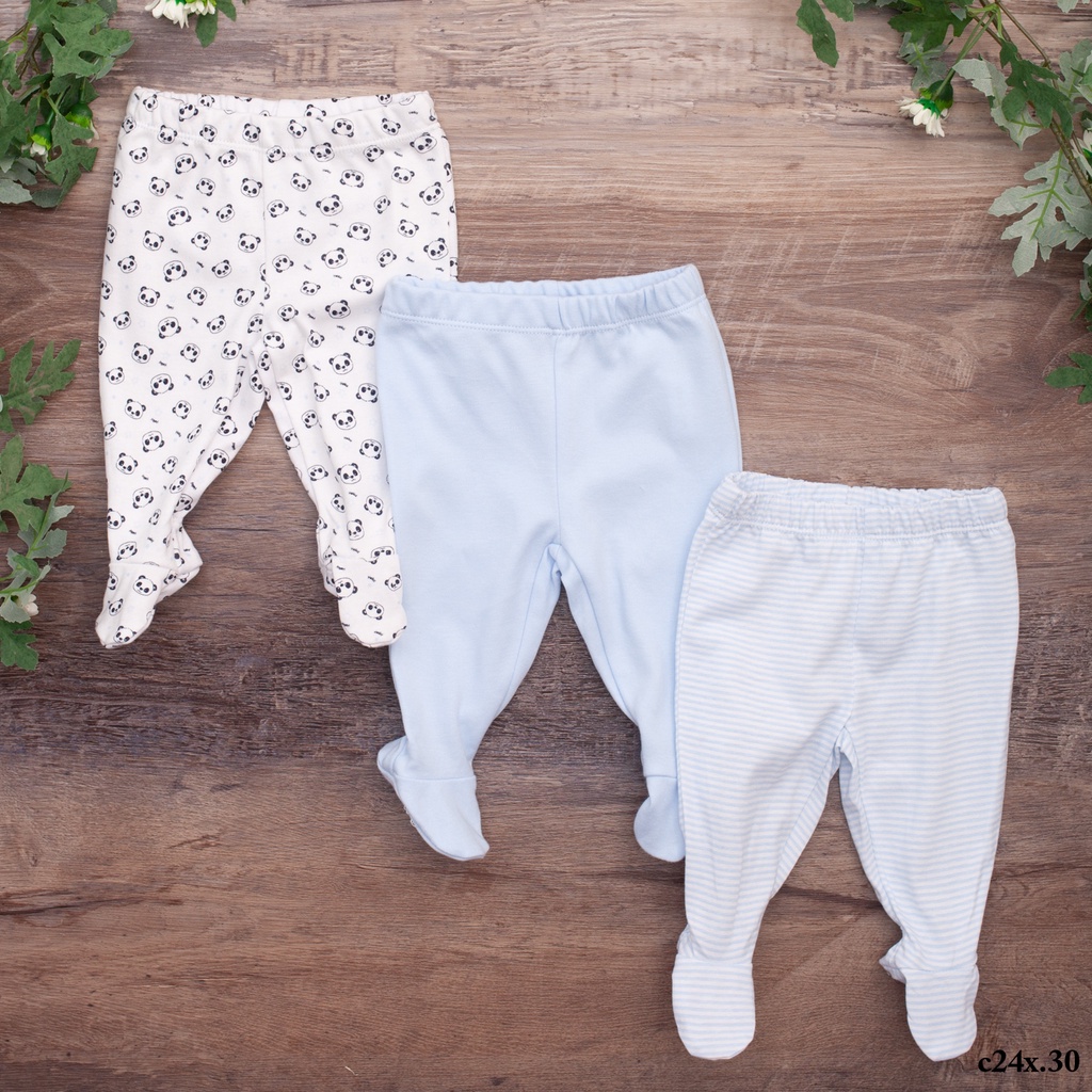 Quần liền bàn thu đông cotton mềm mại màu sắc nhẹ nhàng thời trang COLORISTA