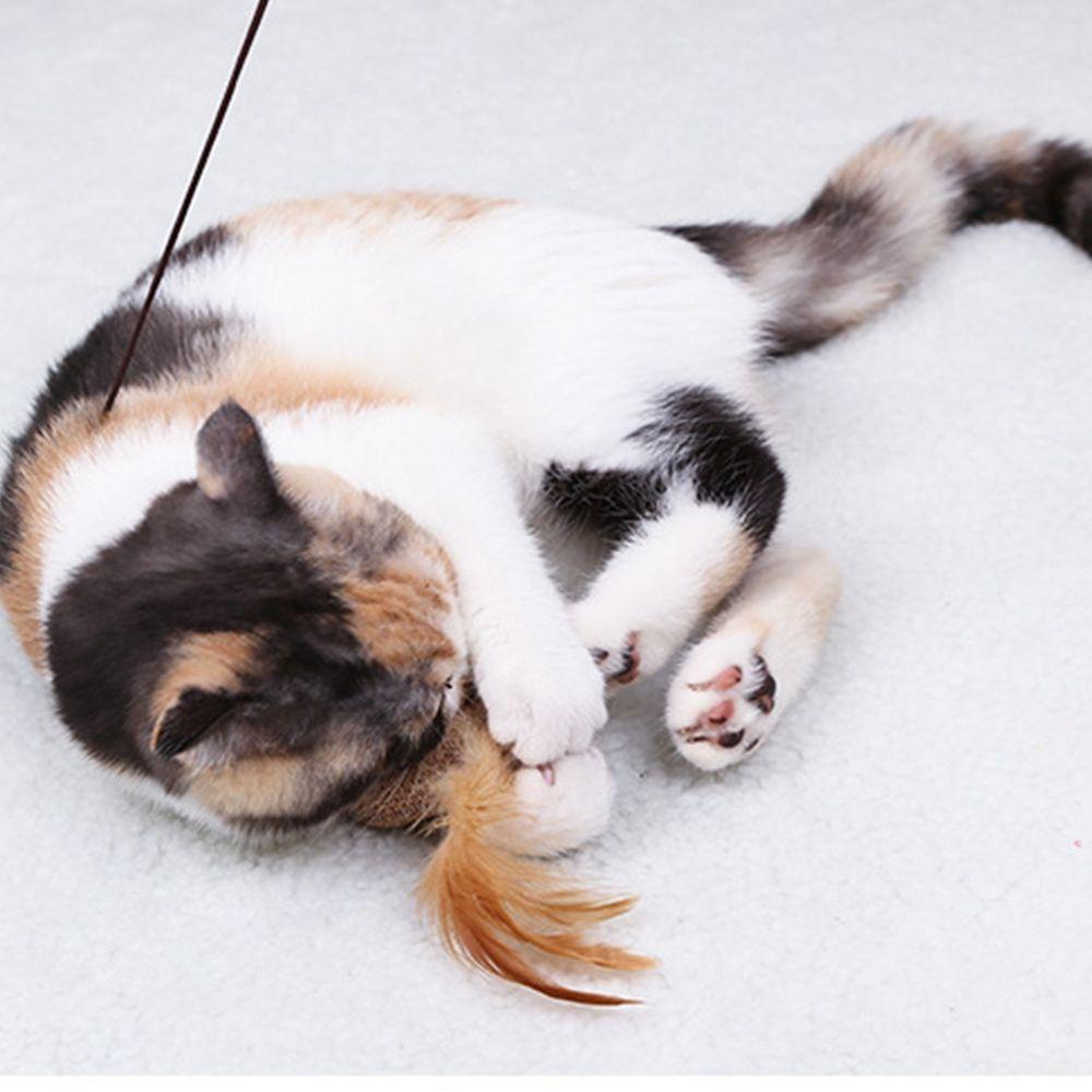 Chuột Giả Bằng Vải Lanh Dệt Kim Tự Nhiên Tương Tác Với Mèo Cưng