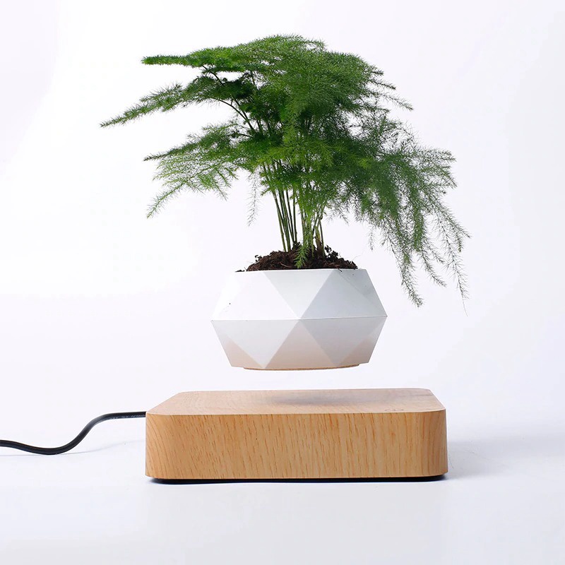 🆕 Chậu cây bay trang trí từ tính BonSai Bay Zero W Design