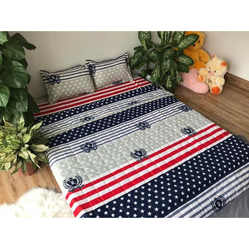 Bộ chăn ga gối hè 5 món cotton poly hàn quốc