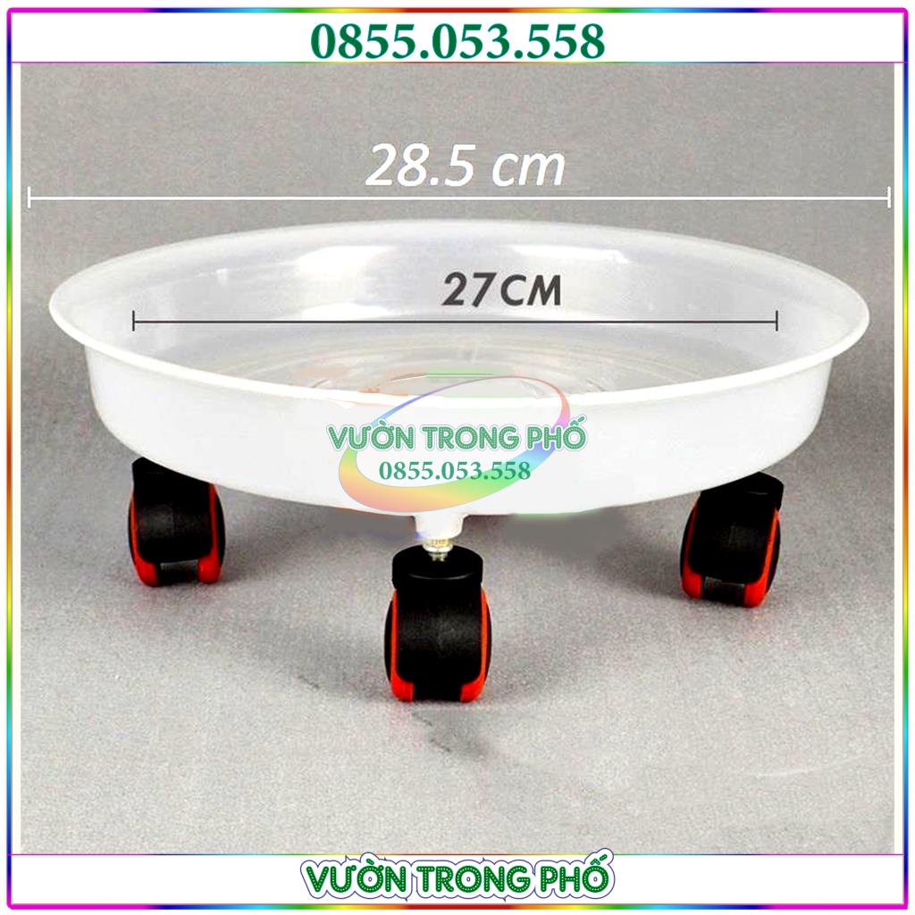 Kệ trong suốt để chậu cây đường kính 20 cm,, trọng tải 60kg, giá đỡ cây