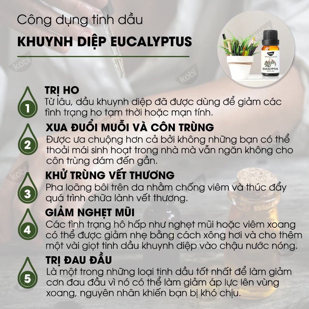 Tinh dầu Khuynh Diệp Kobi Eucalyptus essential oil giúp đuổi muỗi, làm thơm phòng, xả stress hiệu quả - 10ml