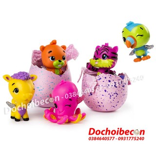 Hatchimals Bộ 4 Trứng Mini SS2 + 1 thú Hatchimal - Full box #Hatchimals